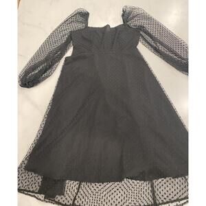 Wednesday Adams whimsigoth romantic dark fairy sheer swiss dot black dress